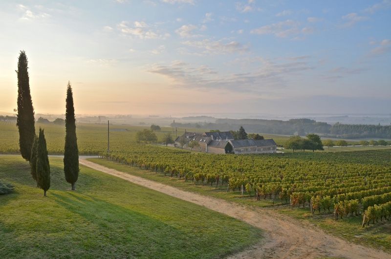 Terroir et Artisanat