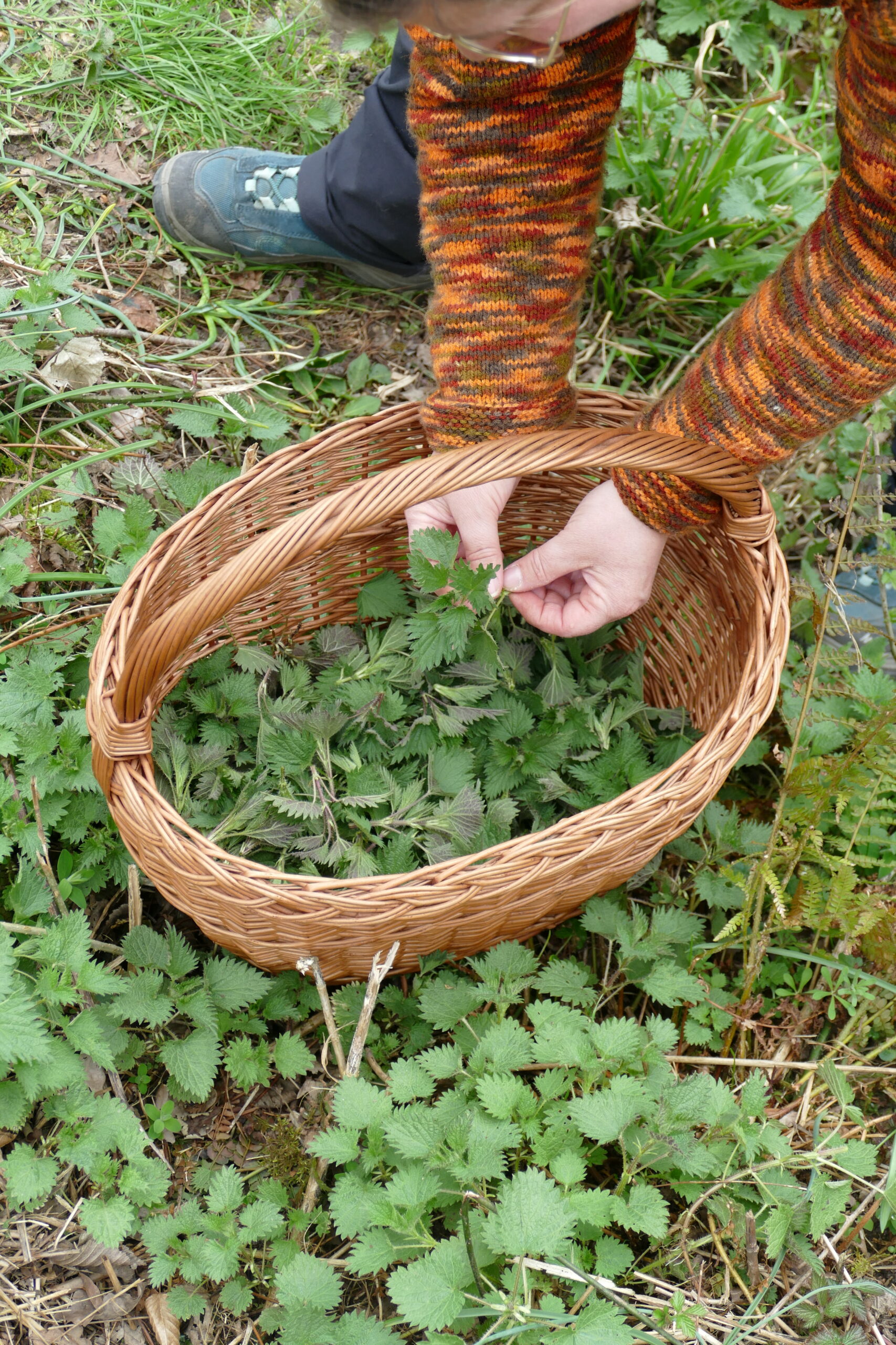 P1250314-scaled ©couleurs sauvages