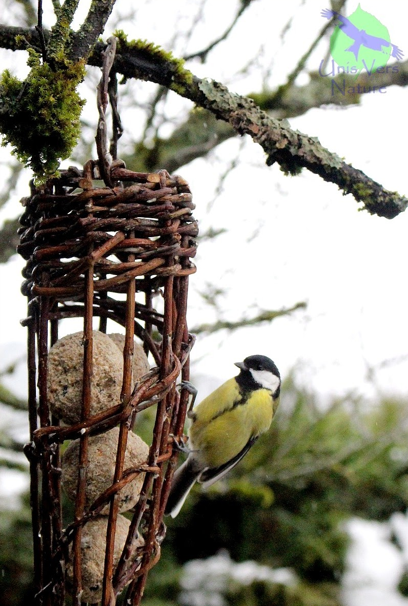 mangeoire-vegetale ©unis vers nature