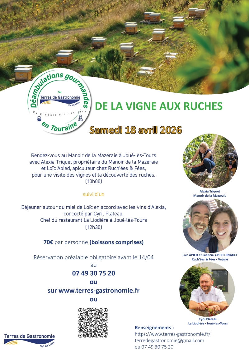 vigne_ruches &copy;Terres de Gastronomie Val de Loire