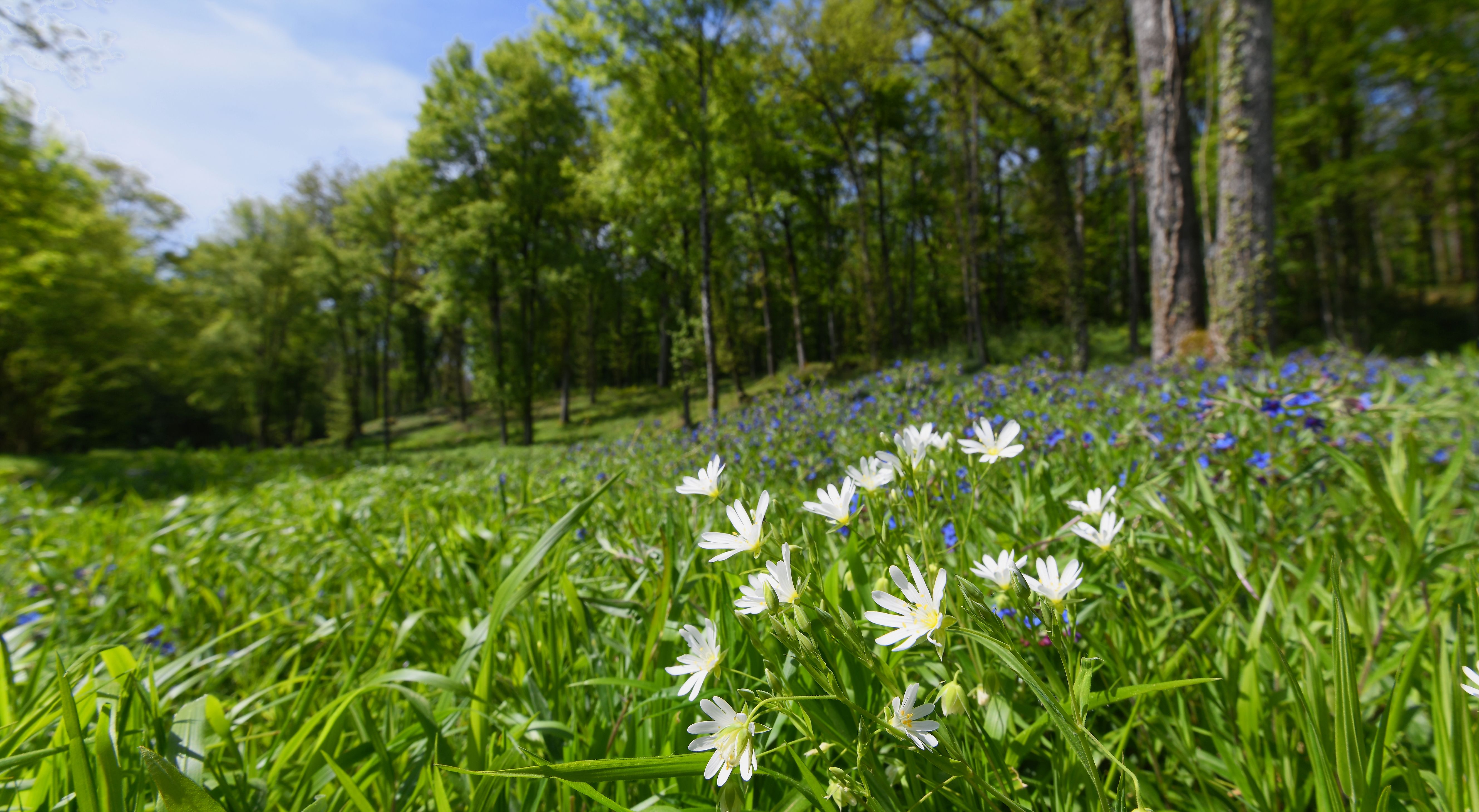 CJU_0102_ LES ETANGS DE NARBONNE (5)