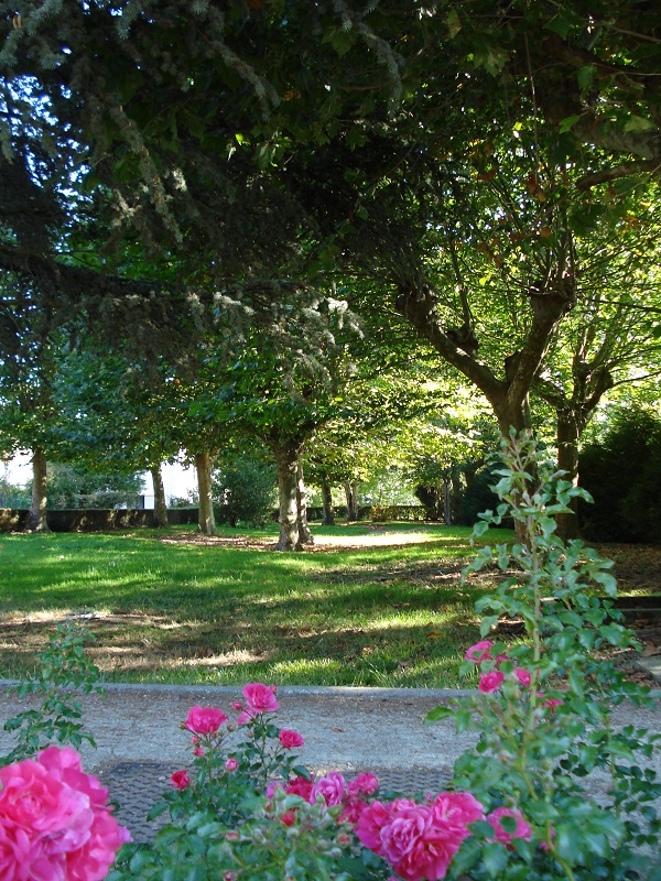 Arboretum de Genillé