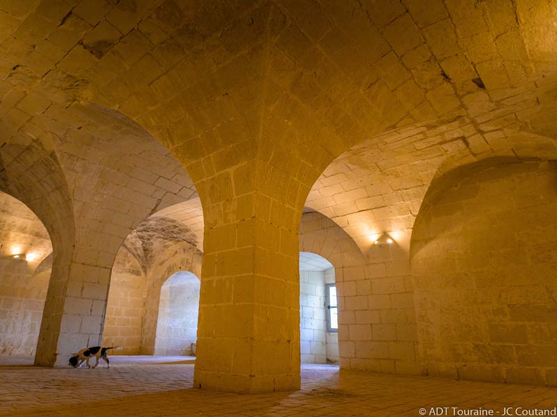 La Guerche castle - France