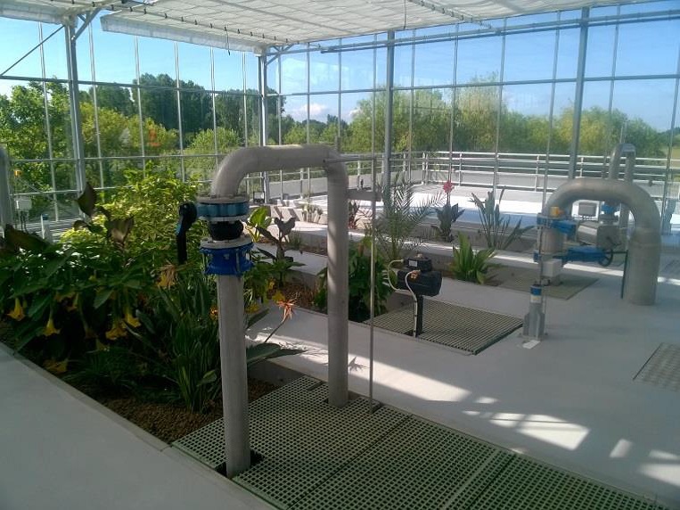 step-serre - couleurs sauvages step-serre - couleurs sauvages